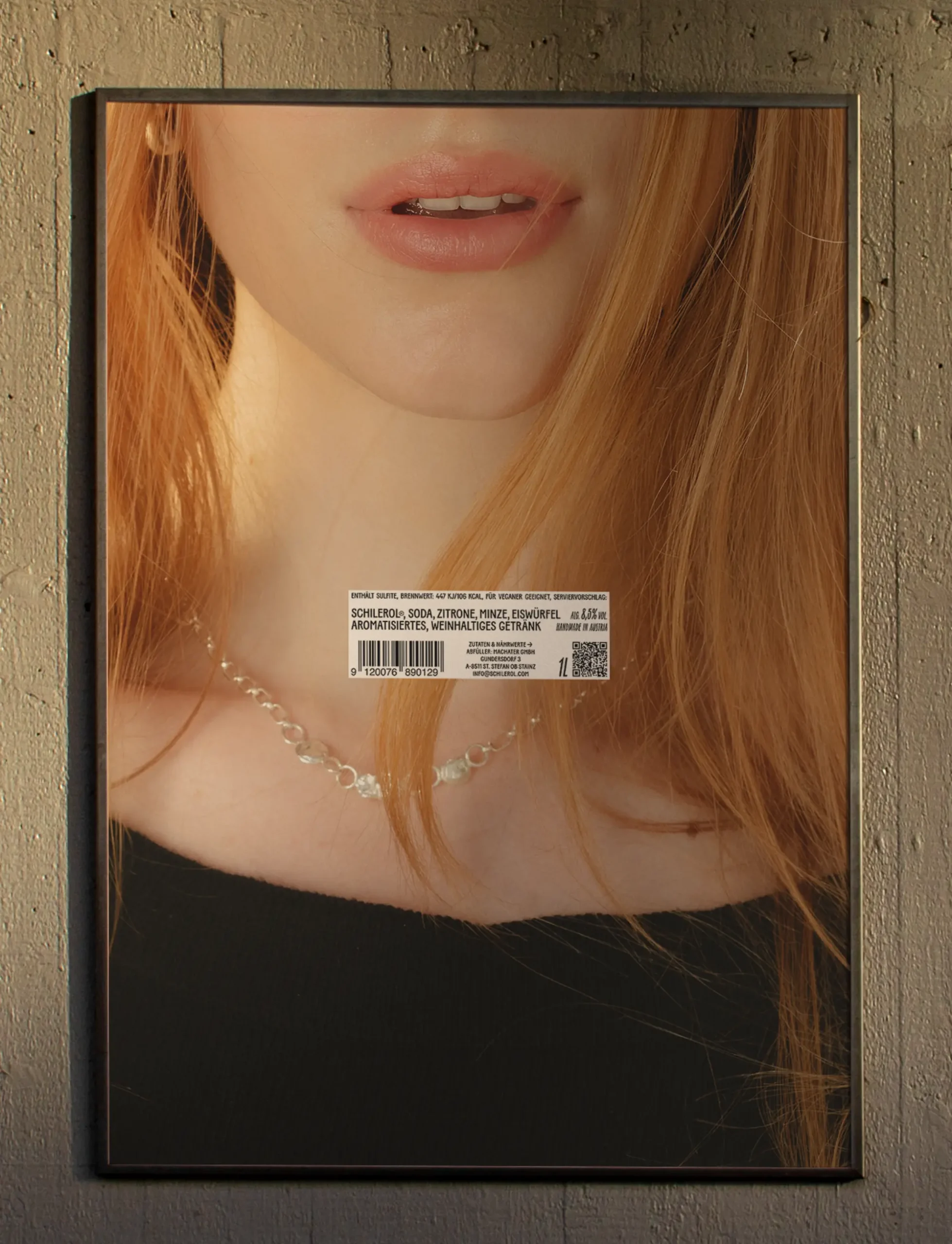 Schilerol-Plakate-5 Schilerol-Plakate-5