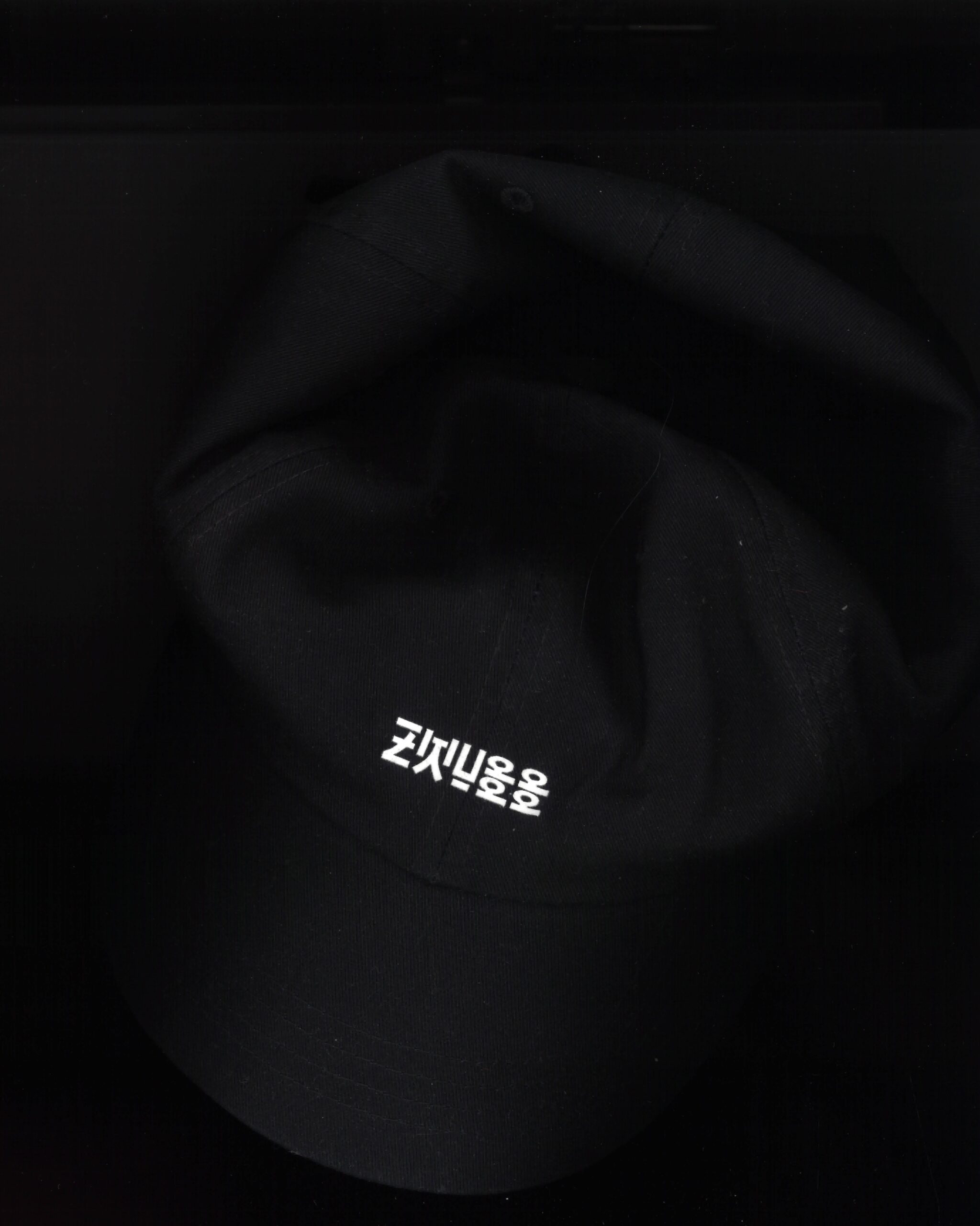 zwupp-ramen-cap-scan 2